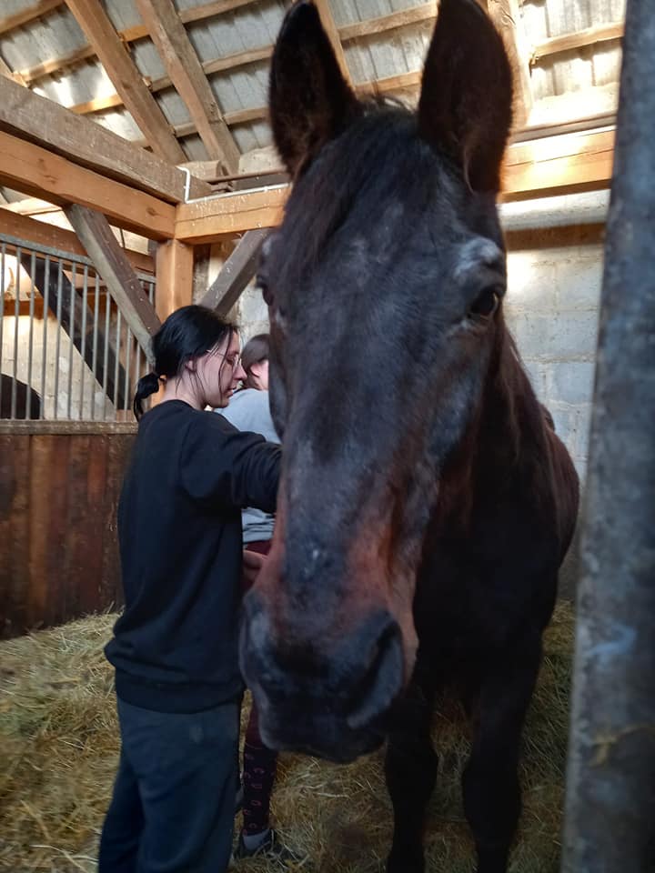 Mamy nadzieję, że wiosną rozgościła u nas …