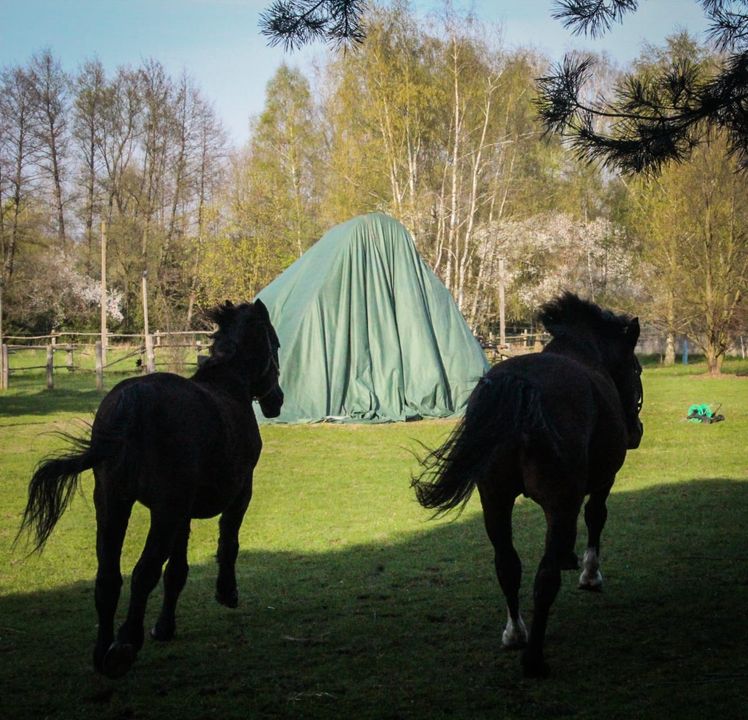Nie ma to jak wejść w weekend z kopyta i …