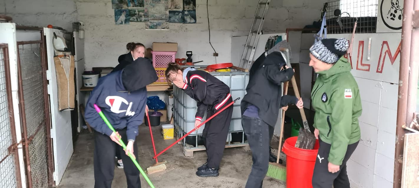 Pracowita sobota za nami💪💪💪. Mimo bardzo …