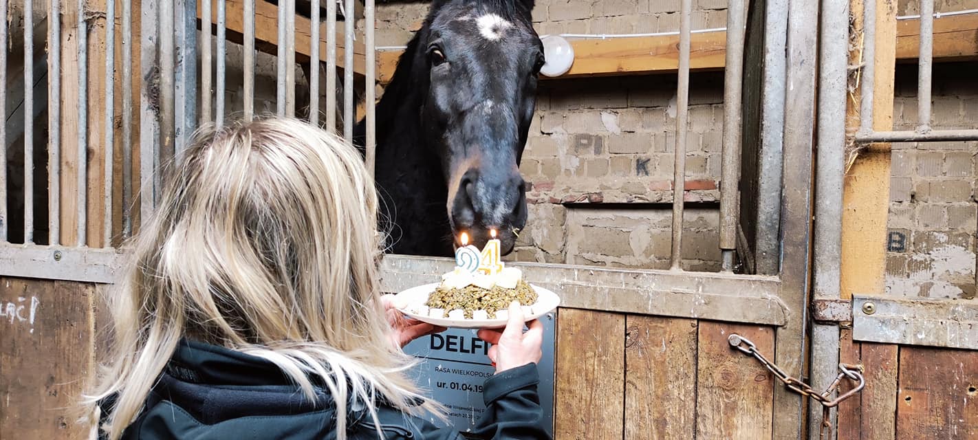 Wczoraj w Zakątku Weteranów mieliśmy podwójne …