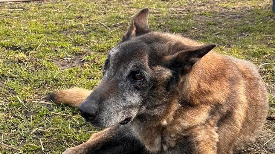 Zapraszamy do obejrzenia krótkiego materiału o …