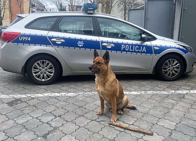 Wraz z naszymi podopiecznymi pozdrawiamy …