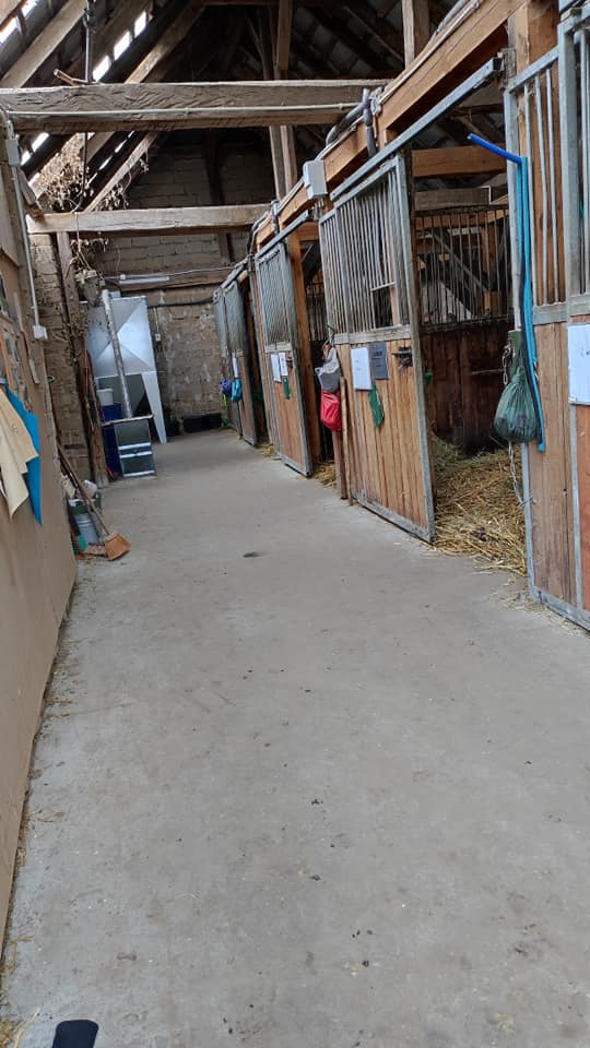 Pogoda deszczowa, ale dobrym wolontariuszom nie …