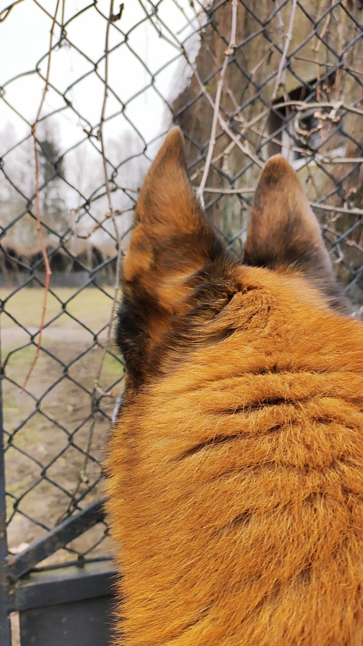 Dzisiaj Walentynki, więc przy tej okazji życzymy …
